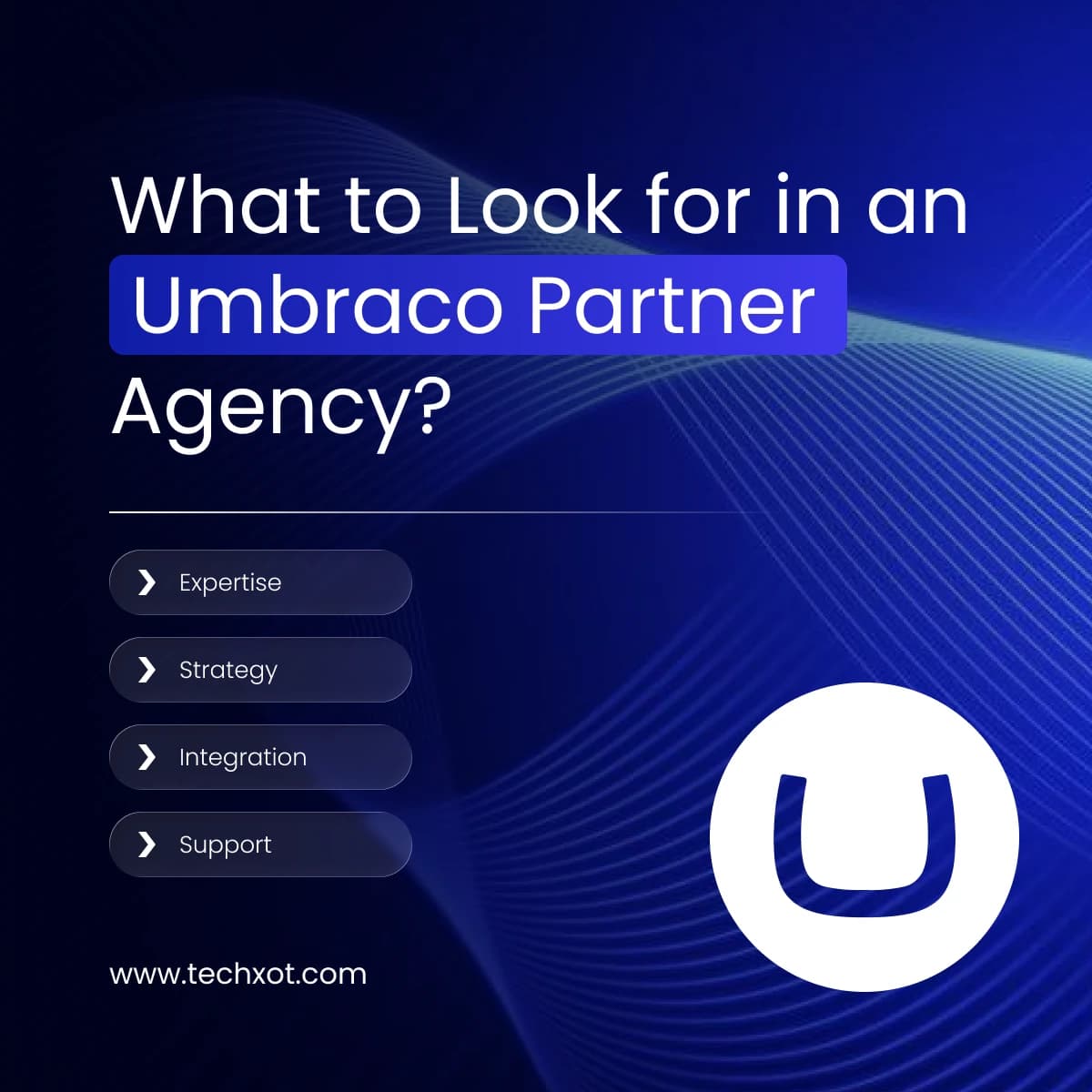 How An Umbraco Partner Agency Helps In Your Digital Growth