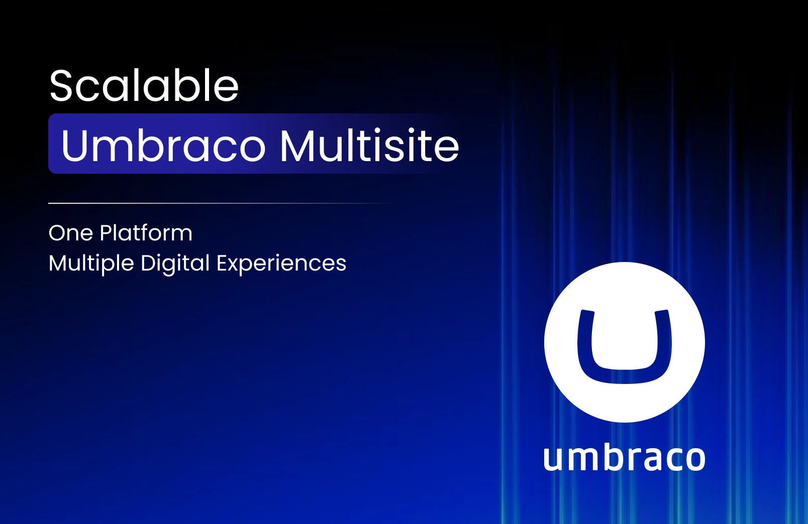 Umbraco Multisite One Platform Multiple Digital Experiences